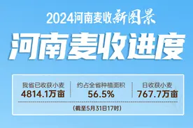 截至5月31日17时，河南已收获小麦4814.1万亩图片