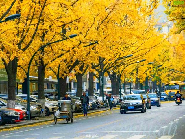 东北这条封神边境路，接下来1个月绚烂如画，串联中国最极致的秋