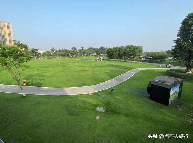 成都市内超级大草坪，美得让人惊叹，是摄影者的天堂，公交车直达