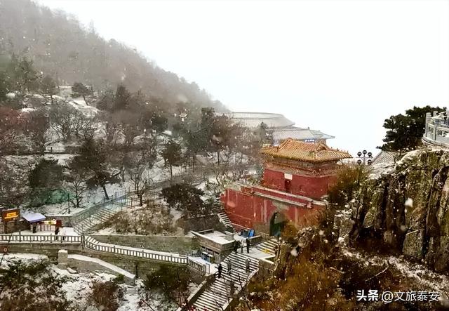 2025初雪到来！泰山限定版皮肤已上线，真是美到犯规啦！