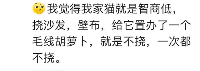 原来人真的可以蠢到这个地步！网友：这不是正常人能干的