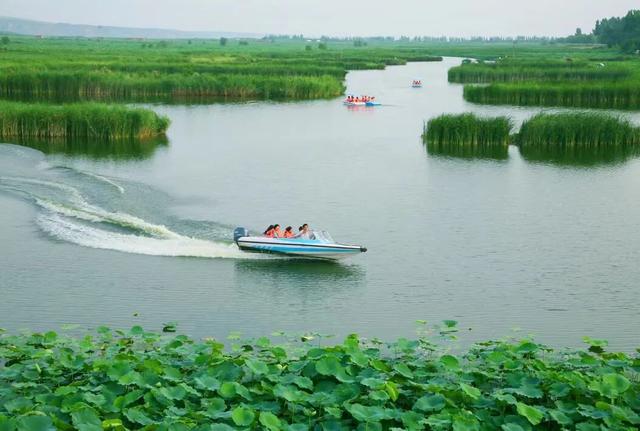 洽川湿地，在自然深呼吸中找回生活本真