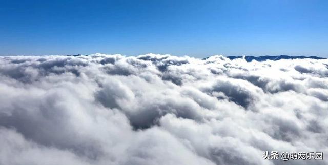 清晨赛里木湖现奇观，山峦云朵翻滚如海，摄影师拍下天地融合瞬间