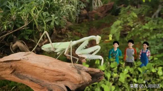 不只是怀旧！揭秘“国产儿童剧	”，25年来的蜕变之路