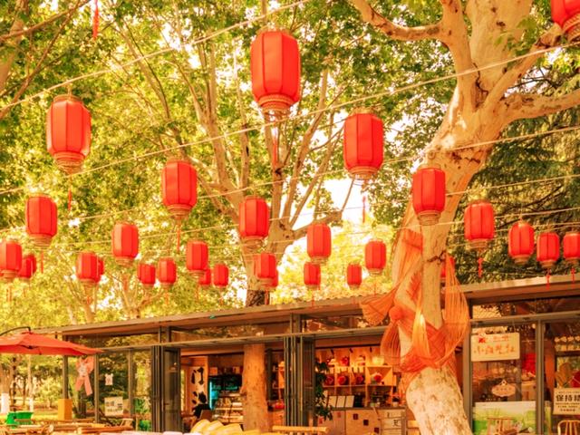 行走在月湖公园