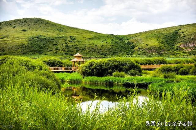 北京出发｜周末22℃避暑秘境！丰宁2日清凉攻略