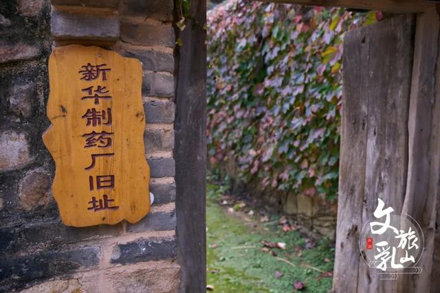 重走红色热土，触摸胶东大地的跳动脉搏