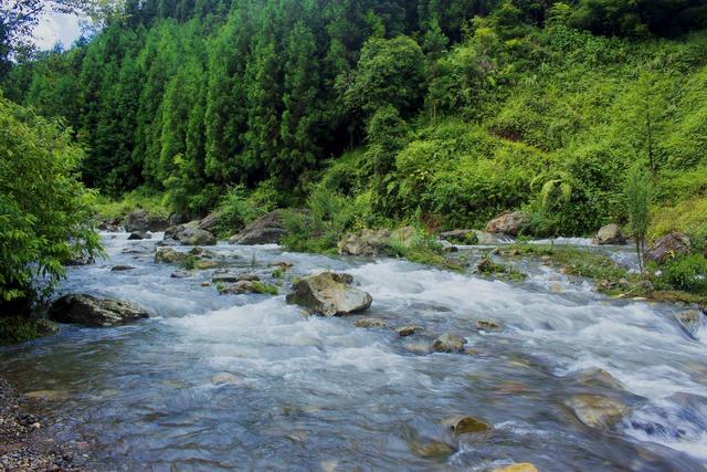 到山里去，8个森林环抱的好地方，过几天山居生活，回归纯粹