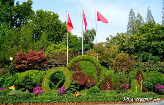 4米巨型大立菊见过吗？第46届趵突泉金秋菊展明天开幕！5大亮点抢先看→