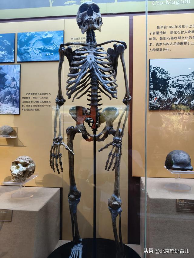 第一次去国家自然博物馆，水族馆和恐龙乐园是8岁孩子的最爱