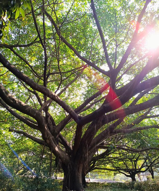 老年人的生活就是这样的