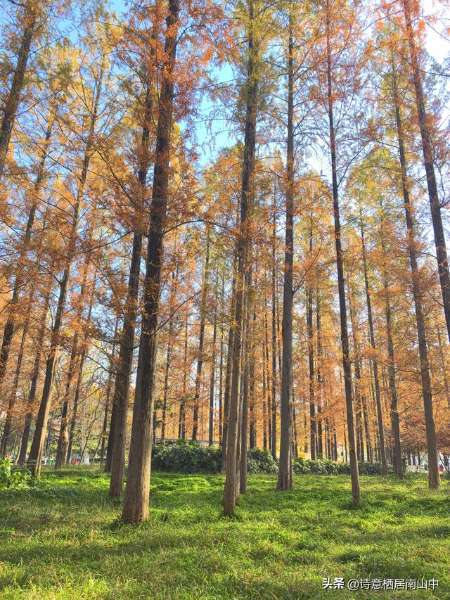 骑行听书：让快乐加倍，让风与墨香撞个满怀
