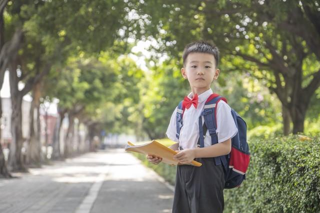 很多家长忽略了，这张小学奖状比“三好学生”更实用