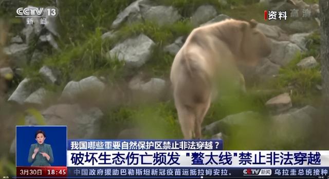 鳌太线被困人已找到，男子确定死亡 死状凄惨，细节曝光不值得同情