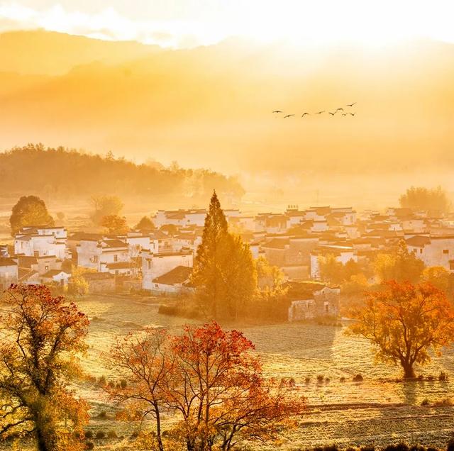 皖南秋游指南:11-12月邂逅人少景美的诗意秘境,尝遍徽州美食。