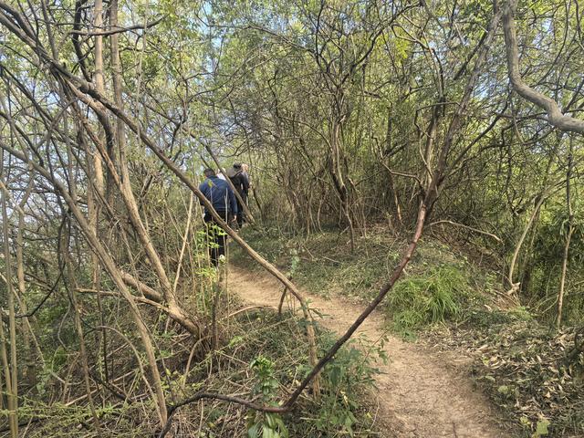 南京幕府山郊野徒步