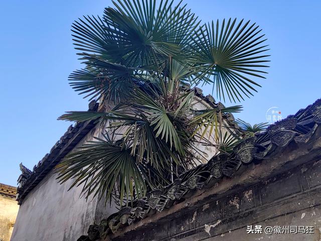 【行走徽州233】呈坎：褪去5A级景区的光环，看千年古村的历史