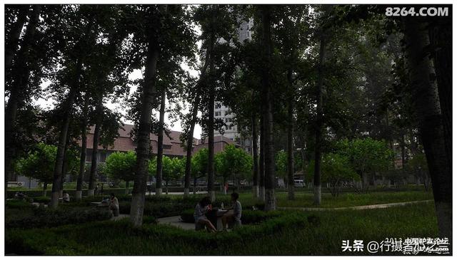山东行游影记（16）—济南山东大学（三）