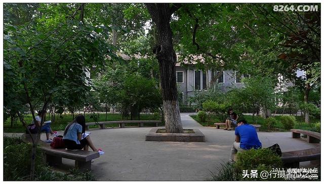 山东行游影记（17）—济南山东大学（四）