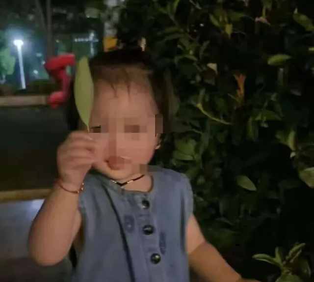 江苏3岁女童疑被生父怀孕的女友捂死 生父称不要补偿只求判死刑 律师：情节非常恶劣 应当予以重判