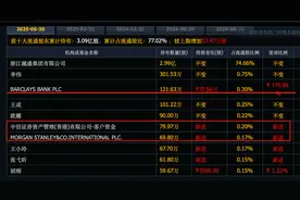 6月份，摩根士丹利和中信联合买进这电力龙头，股价才7元图片