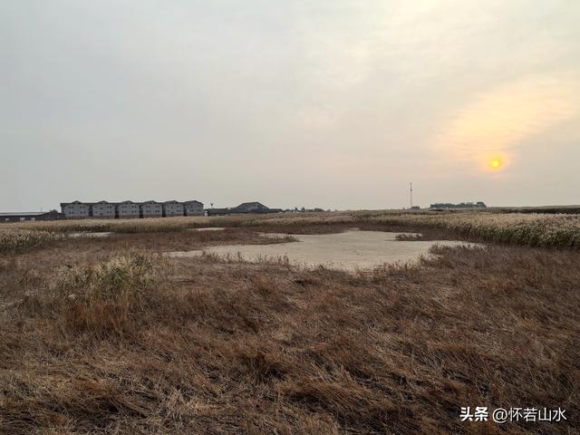 2025辽宁赏秋之旅日记(6)——到辽河口中国最北海岸线看日出 观鸟