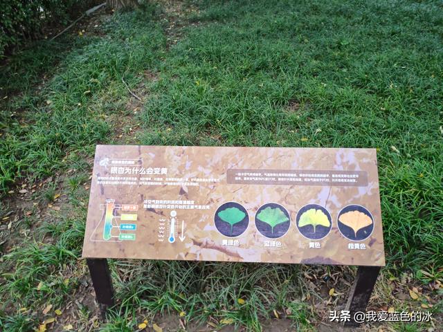 因为住得近，正好逛逛北京的玲珑塔公园