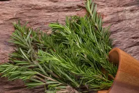 这4种花草是抗癌“王炸”，能吃还好养！胃癌患者可以在家种几盆图片