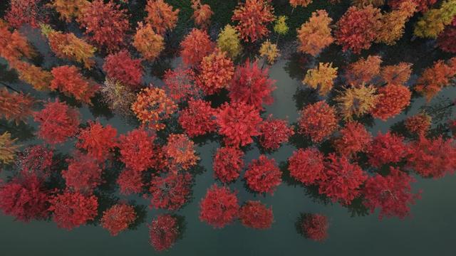 红了！红了！你最想和谁一起去？