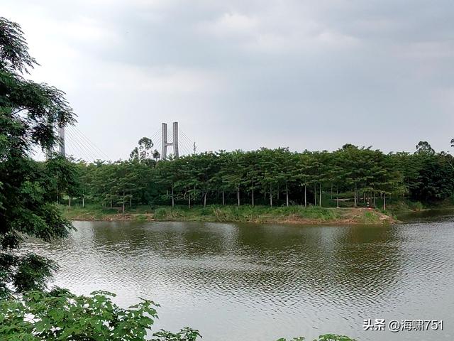南海金沙岛国家湿地公园