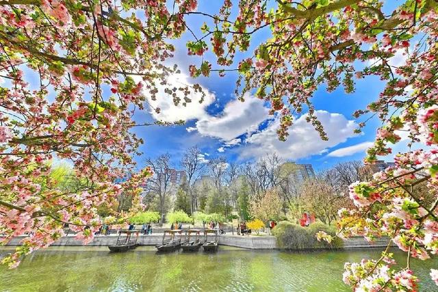 北京元大都城垣遗址公园 海棠花溪