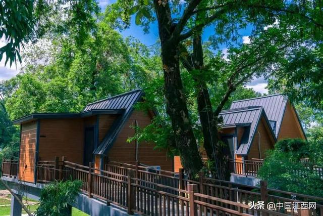 从“生态伤疤”到“仙侠世界”，江西这里的乡村为何火遍全球？