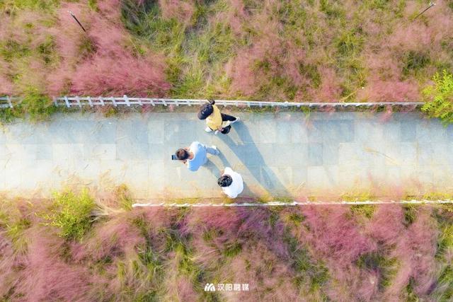 汉阳，变色……了