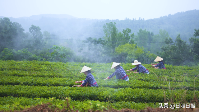 全球榜！中国榜！日照入选