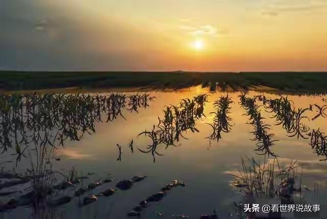 明日九月初一不一般,老人说"大雪来不来,就看九月初一",今冬大雪?