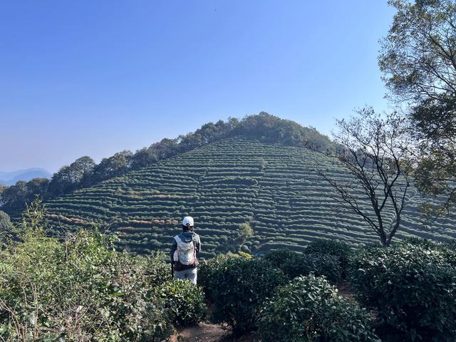 上天竺到云栖竹径，徒步9公里，感受一路秋意。