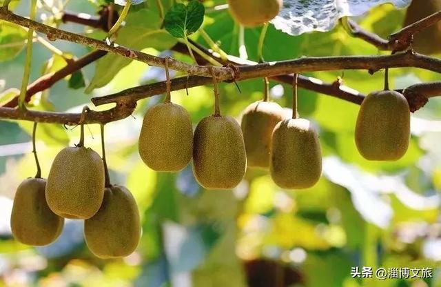 被淄博宠坏了！2026“爱你老己”，就照这样来🧡