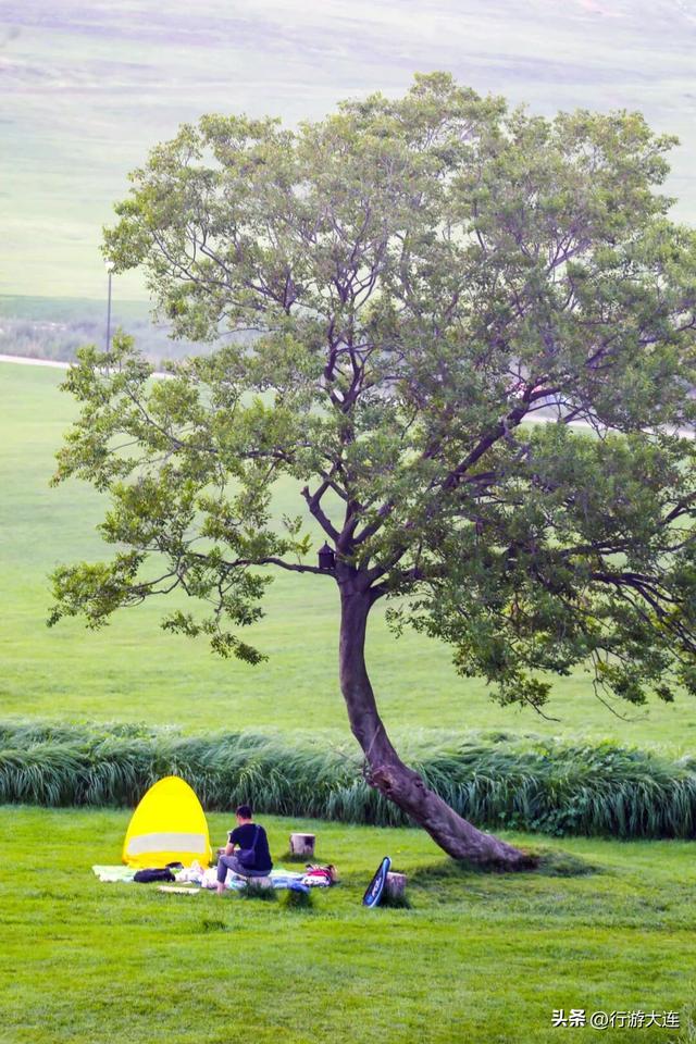 周末不无聊~带娃去这些地方“放电”，还能涨知识！