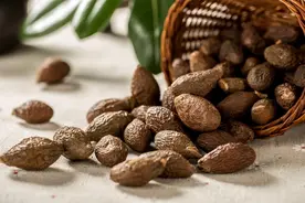 不起眼的胖大海，搭配这3味药，清热效果翻倍！图片