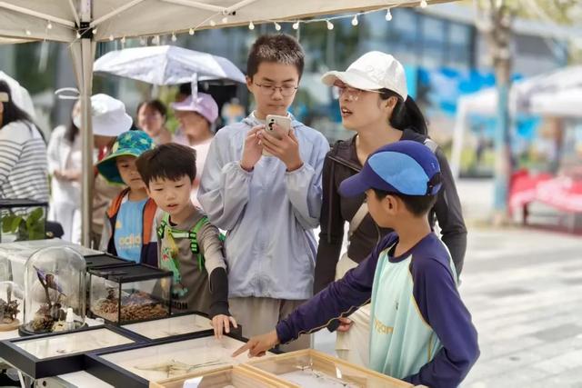 接待旅游者521.61万人次！大理文旅市场持续火热