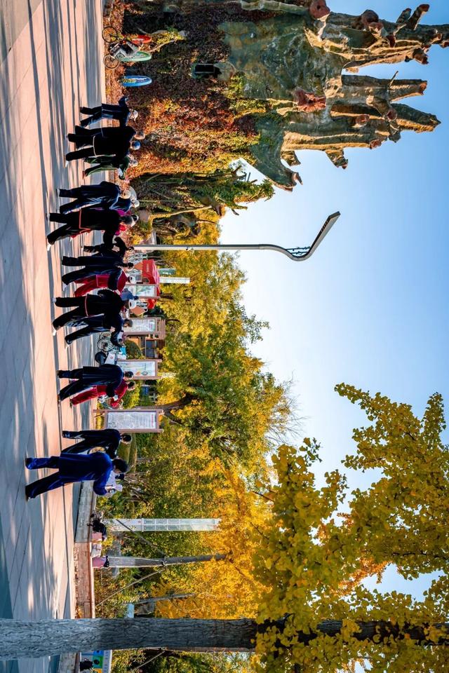 生态城的秋天，已经美得不像样了