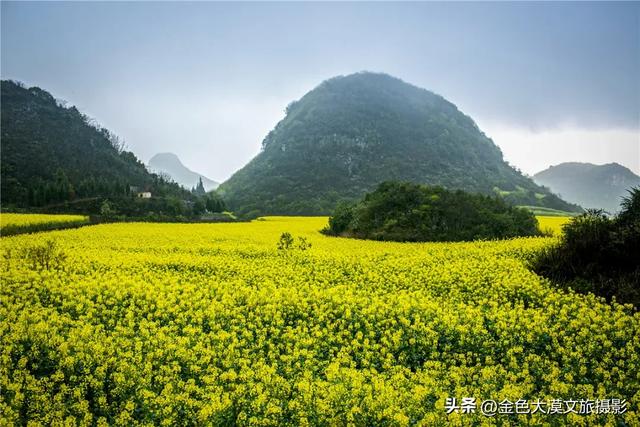 春日爆款!花季限定·2月8日/3月8日出发【花开滇境·七彩云南】8日