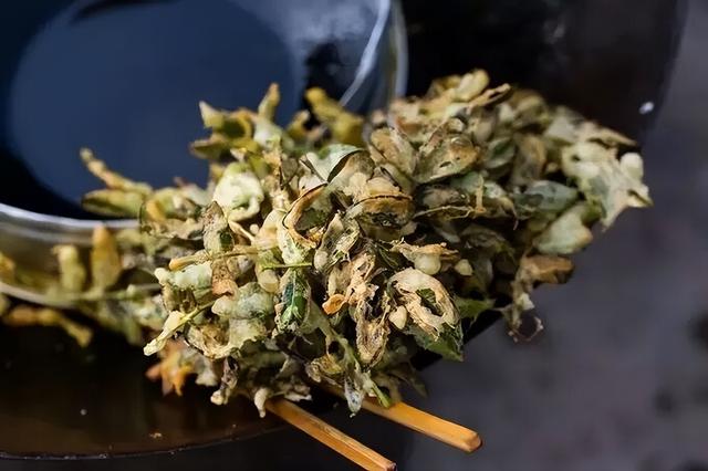 摘果果！九襄金花梨已成熟！收藏这篇带你摘果吃牛肉，解锁宝藏千年古镇！