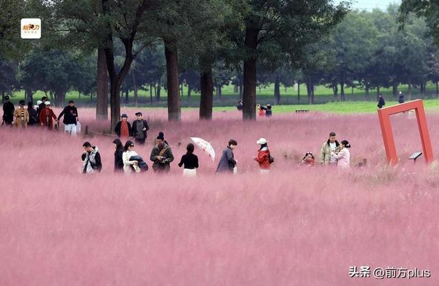 古城与秋叶的交响