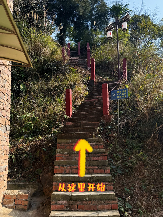 成都2h的新徒步路线，野趣十足、新手友好，免门票免停车费快冲！