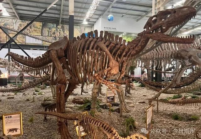 秋假去哪？崇州这些亲子游宝藏地不容错过