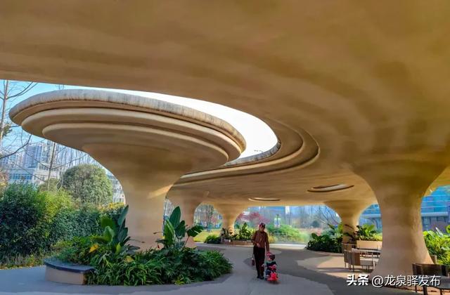 家门口的公园又+1!能遛娃、能夜跑、还能露营→