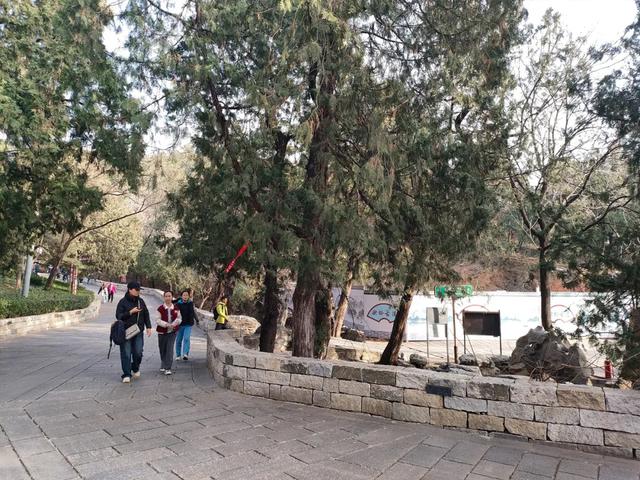 法海寺旅游休闲步道——冬日里的治愈系漫步