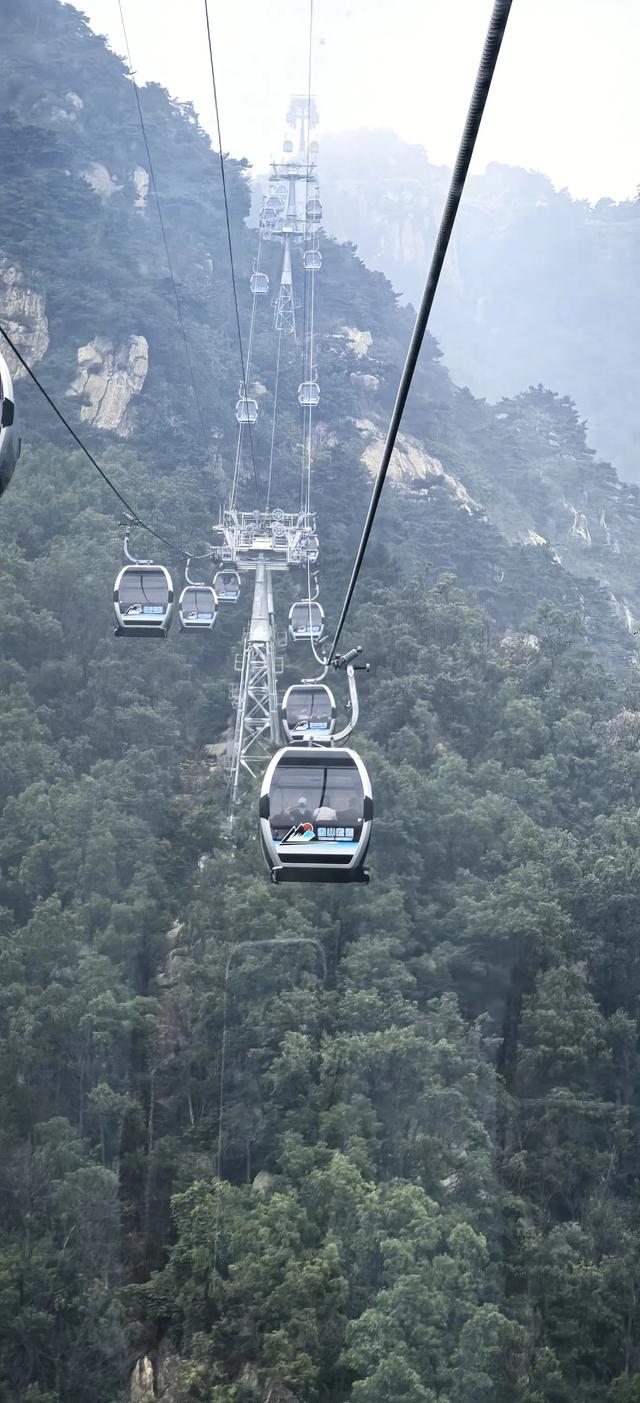 岱宗夫如何：看山不只是山