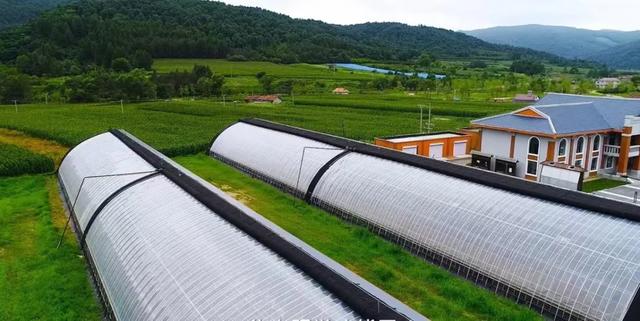 这里是东北抗联第一路军根据地的核心区域，通化大荒沟文旅小镇等你来！